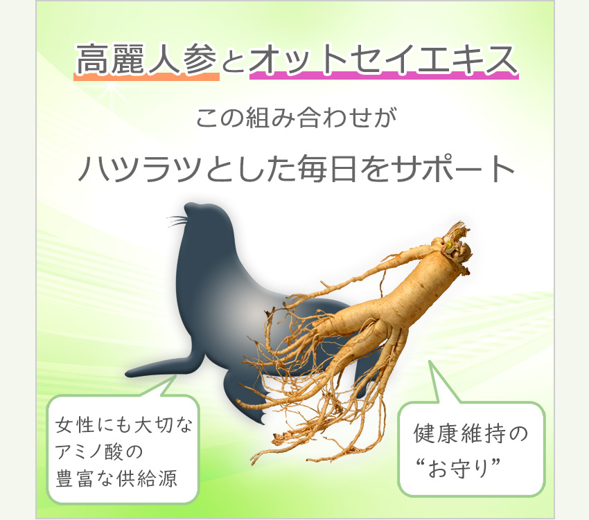 高麗人参とオットセイのW配合